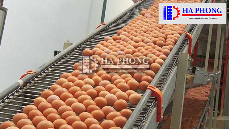 CÔNG TY TNHH TMDV PHÁT TRIỂN HOÀNG KHÔI