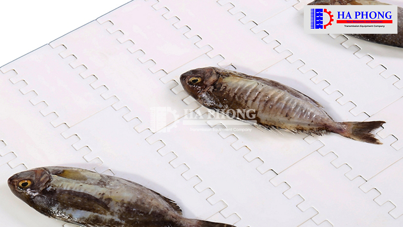 CÔNG TY TNHH TMDV PHÁT TRIỂN HOÀNG KHÔI