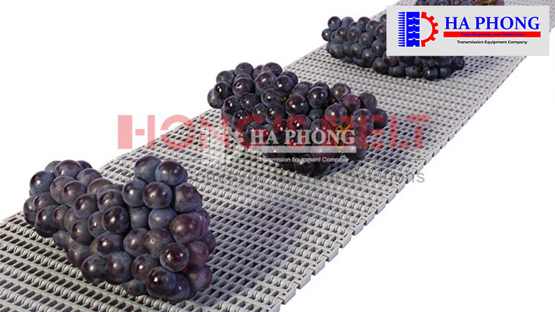 CÔNG TY TNHH TMDV PHÁT TRIỂN HOÀNG KHÔI