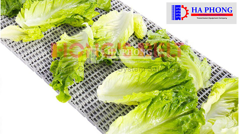 CÔNG TY TNHH TMDV PHÁT TRIỂN HOÀNG KHÔI