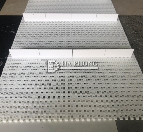 Băng tải nhựa HS-1000B