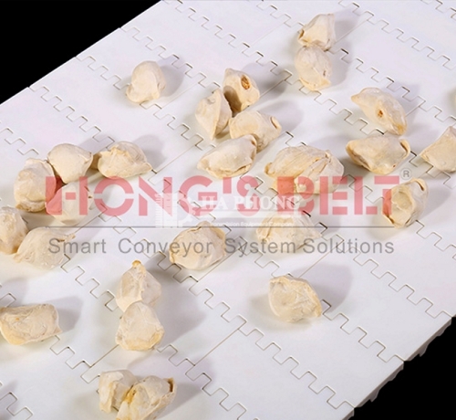 Băng tải nhựa Hong’s belt HS 100A-HD mặt kín bước 50.8mm