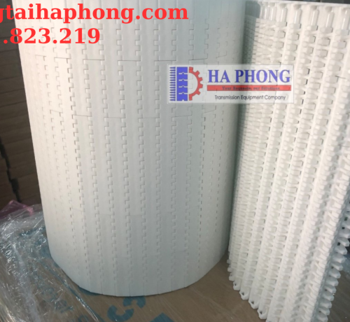 Băng tải nhựa Hong’s belt HS 1100 bước 15.2mm