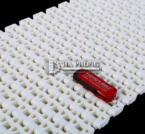 Băng tải nhựa Hong’s belt HS 2500B mặt hở bước 25.4mm