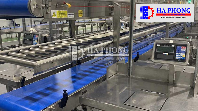 băng tải thực phẩm