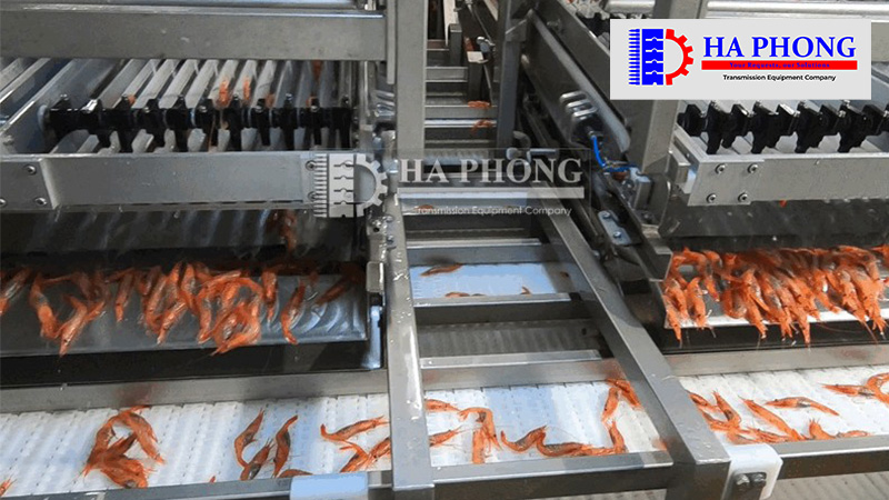 máy phân cỡ tôm