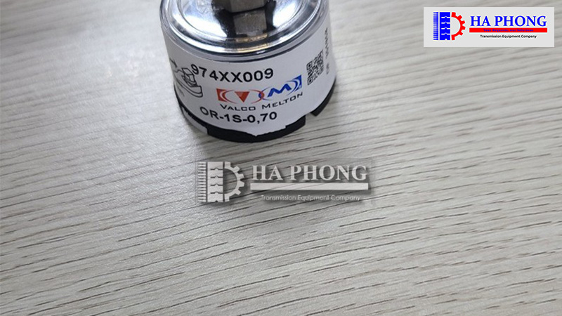 CÔNG TY TNHH TMDV PHÁT TRIỂN HOÀNG KHÔI