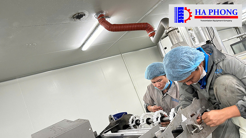 CÔNG TY TNHH TMDV PHÁT TRIỂN HOÀNG KHÔI