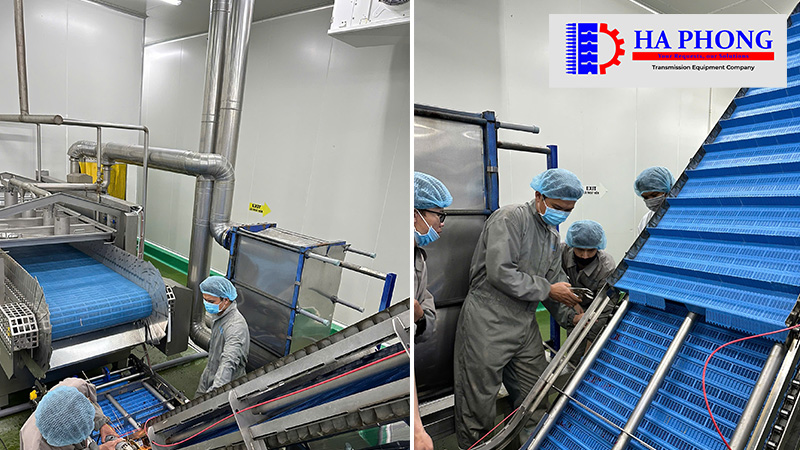 CÔNG TY TNHH TMDV PHÁT TRIỂN HOÀNG KHÔI