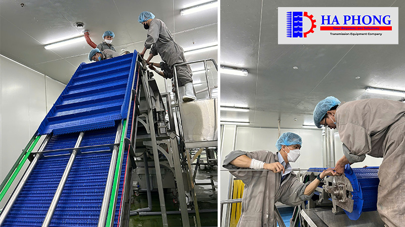 CÔNG TY TNHH TMDV PHÁT TRIỂN HOÀNG KHÔI