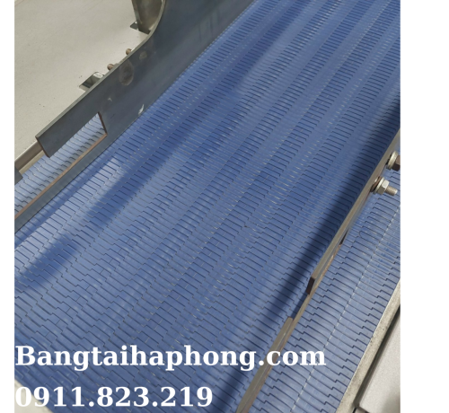 Băng tải nhựa chạy thẳng habasit chuyển tiếp