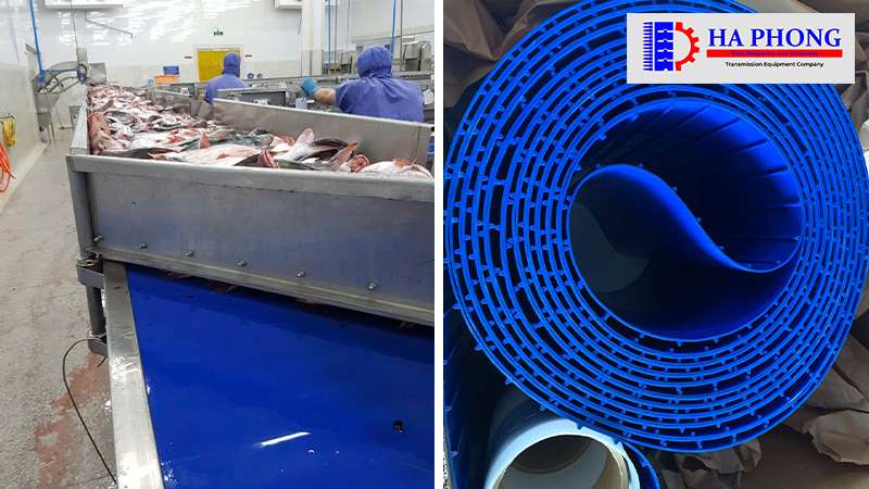 Lắp đặt thay thế băng tải tại nhà máy chến biến cá Vĩnh Hoàn