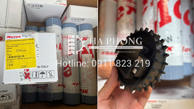 CÔNG TY TNHH TMDV PHÁT TRIỂN HOÀNG KHÔI