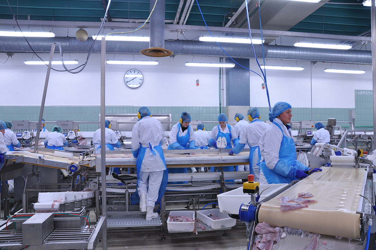 CÔNG TY TNHH TMDV PHÁT TRIỂN HOÀNG KHÔI