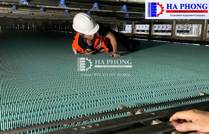 duanthuctenhamaybia1