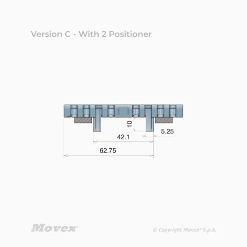 Version C - With 2 Positioner Băng tải xích nhựa Movex - Modular Belts 550 PRO Flat Top