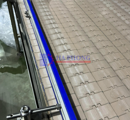 Băng tải xích nhựa HS-820