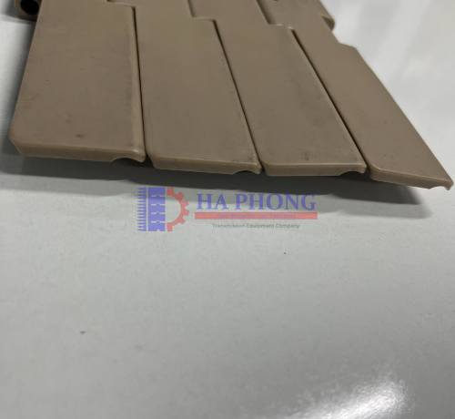 Băng tải xích nhựa HS-821