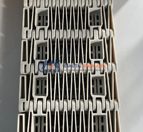 Băng tải hầm thanh trùng HS-2700D