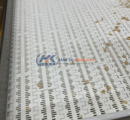 Băng tải nhựa Hong's Belt HS-100B-HD ngành thực phẩm