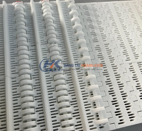 Băng tải nhựa Hong's Belt HS-100B-HD ngành thực phẩm