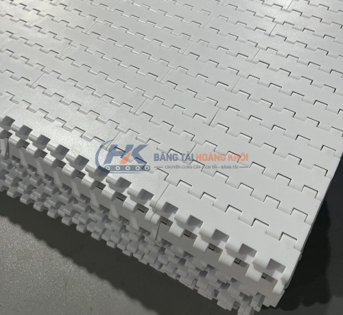 Băng tải nhựa Hong's Belt HS-1000A